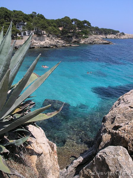 P7011446 OLYMPUS DIGITAL CAMERA         