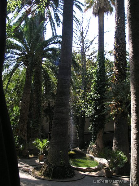 P7031654 OLYMPUS DIGITAL CAMERA         