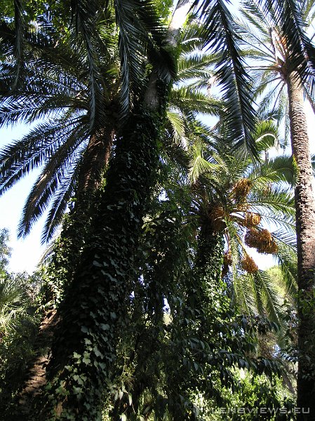 P7031657 OLYMPUS DIGITAL CAMERA         