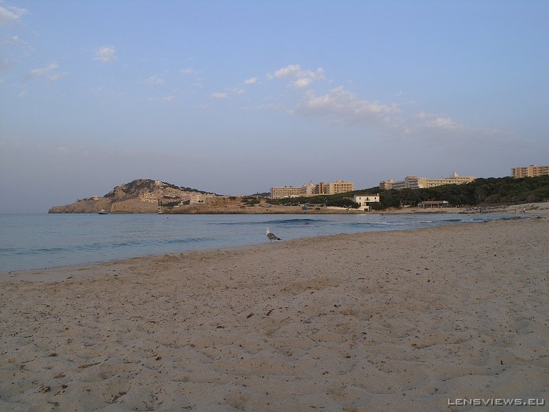 P7051758 OLYMPUS DIGITAL CAMERA         