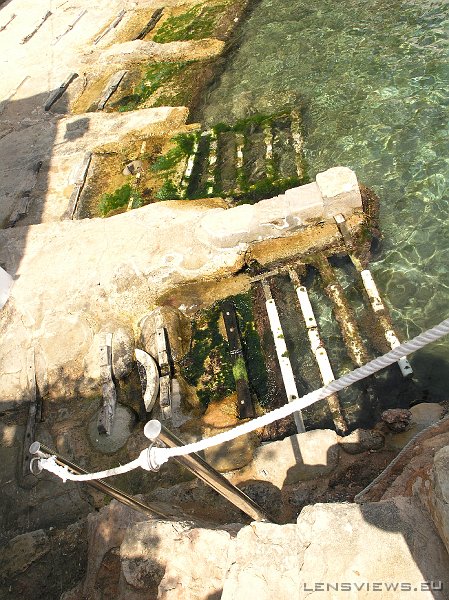 P7061786 OLYMPUS DIGITAL CAMERA         