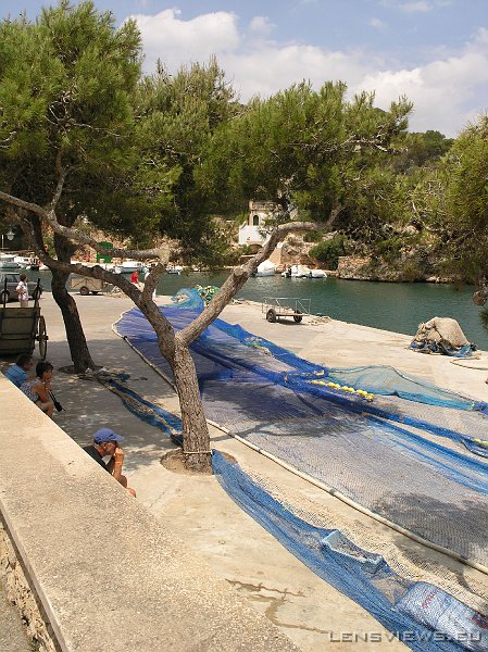 P7061812 OLYMPUS DIGITAL CAMERA         