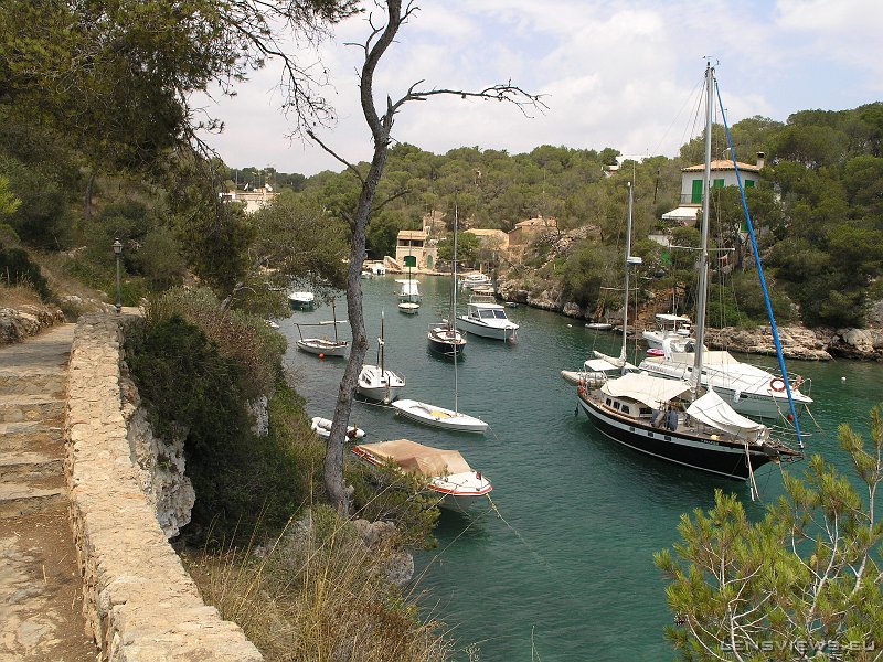 P7061830 OLYMPUS DIGITAL CAMERA         